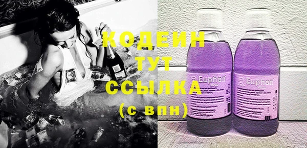 индика Кинешма