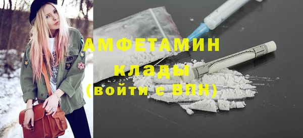 индика Кинешма