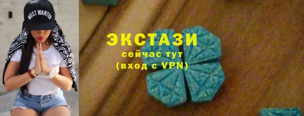 индика Кинешма