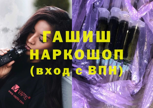 индика Кинешма