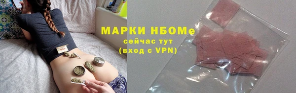 индика Кинешма