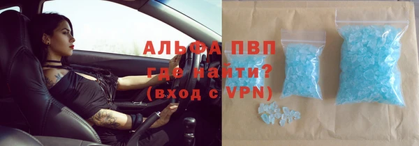 индика Кинешма