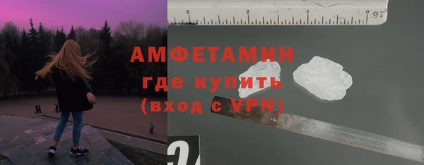 индика Кинешма