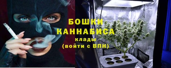 индика Кинешма
