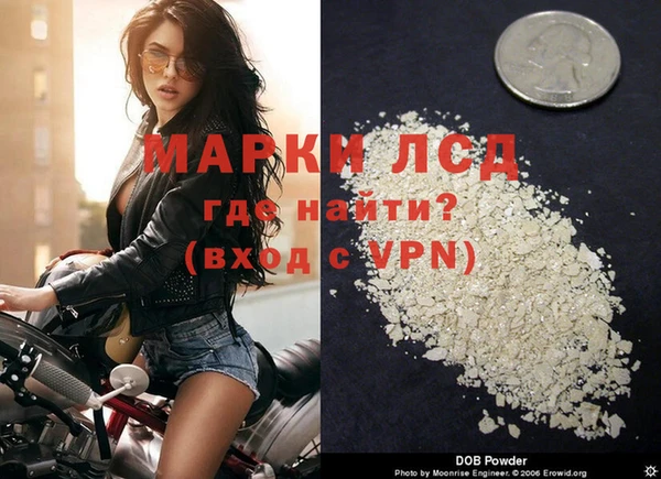 индика Кинешма