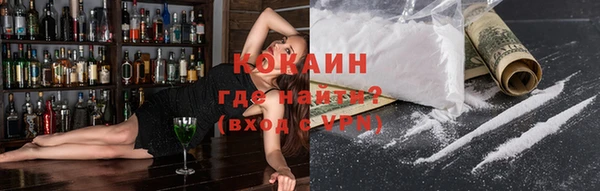 индика Кинешма