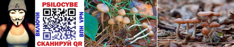 Галлюциногенные грибы Psilocybe  OMG tor  Северск 