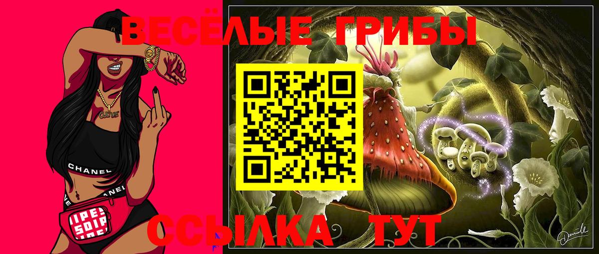 Северск  Галлюциногенные грибы Psilocybe  Вход с VPN 