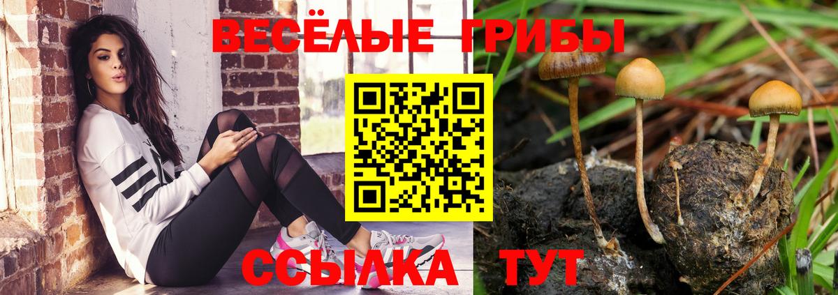Каннабис Северск